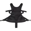 BabyDan Baby Dan Sicherheitsgurt Lux Für Kinderwagen Schwarz